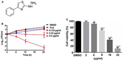 A New Antifungal Agent (4-phenyl-1, 3-thiazol-2-yl) Hydrazine Induces Oxidative Damage in Candida albicans